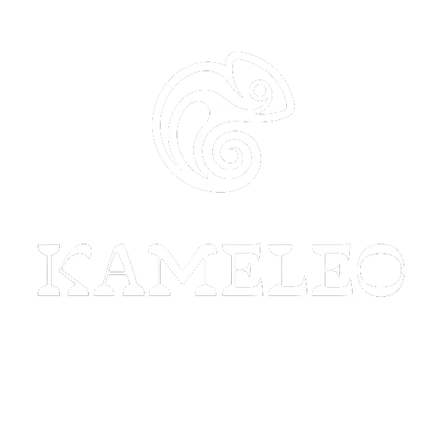 Kameleo Studio