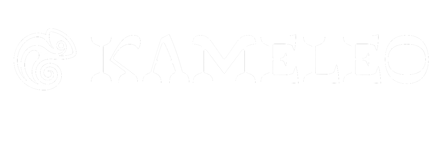 Kameleo Studio